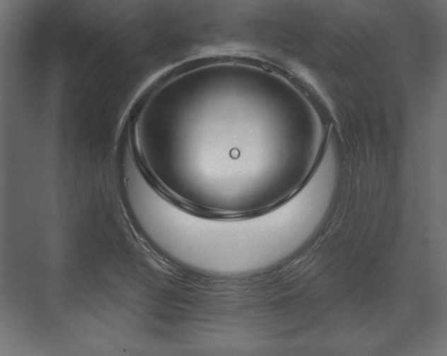 X0000073991320200608281304