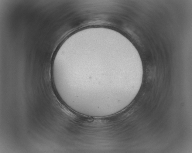 X0000073991322200608281304