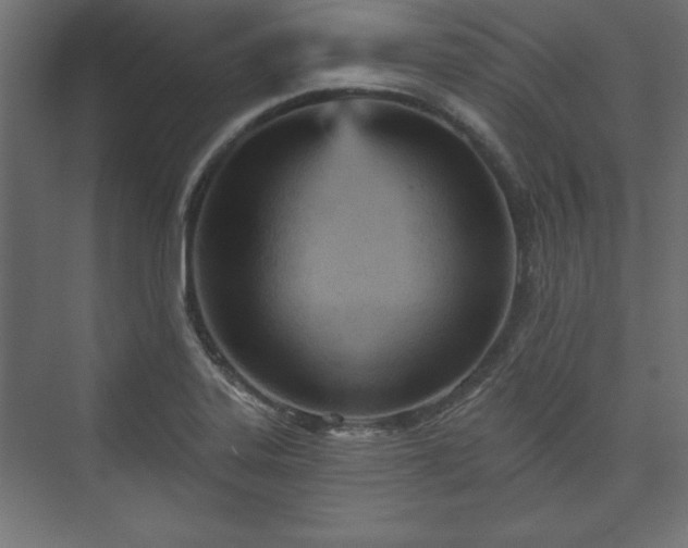 X0000073991323200608281304