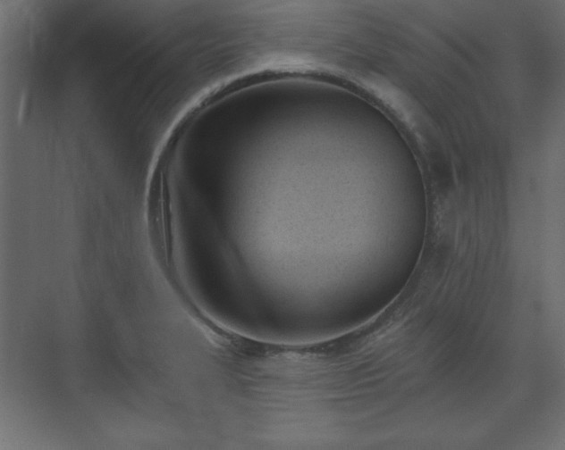 X0000073991327200608281304