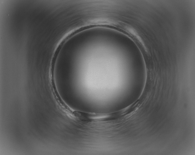 X0000073991328200608281304