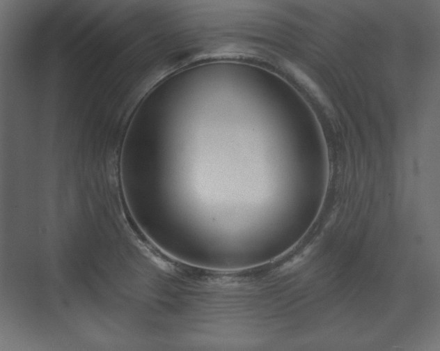 X0000073991329200608281304