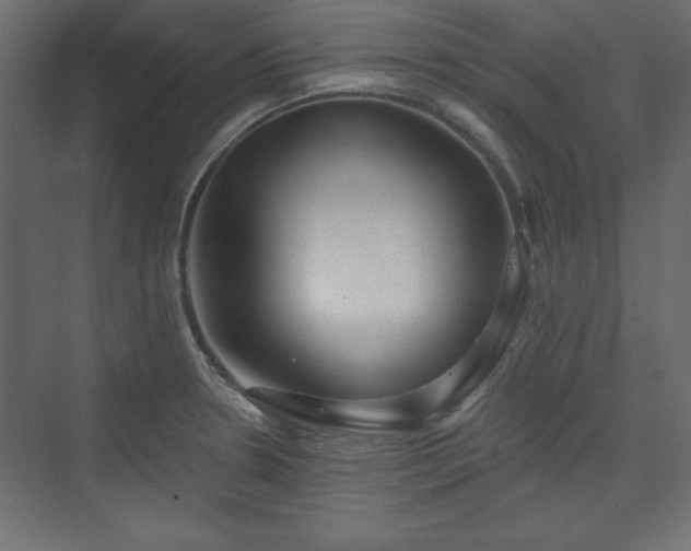 X0000073991330200608281304