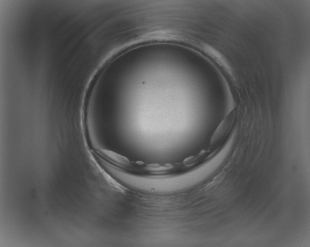 X0000073991334200608281304