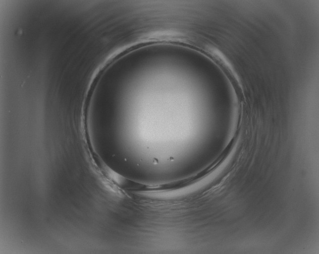 X0000073991336200608281304