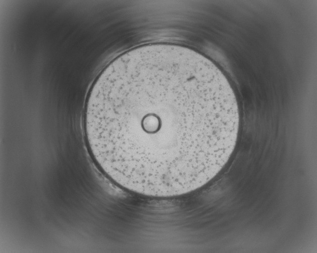 X0000073991338200608281304