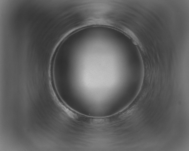 X0000073991339200608281304