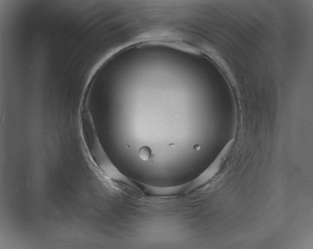 X0000073991344200608281304