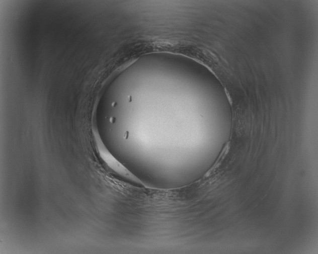 X0000073991345200608281303