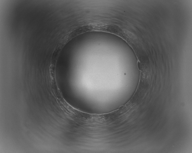 X0000073991346200608281303