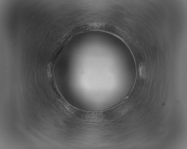 X0000073991347200608281303