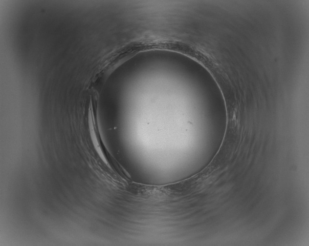 X0000073991348200608281303