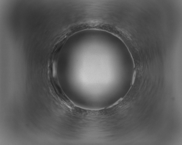 X0000073991349200608281303