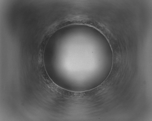 X0000073991350200608281303