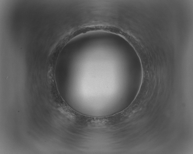 X0000073991351200608281303