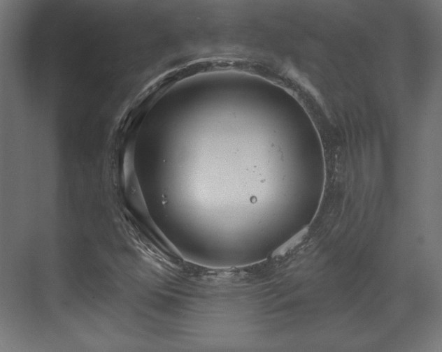 X0000073991352200608281303