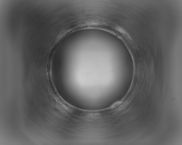 X0000073991353200608281303