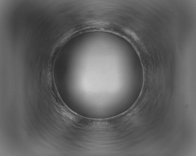 X0000073991354200608281303