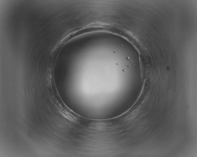 X0000073991355200608281303