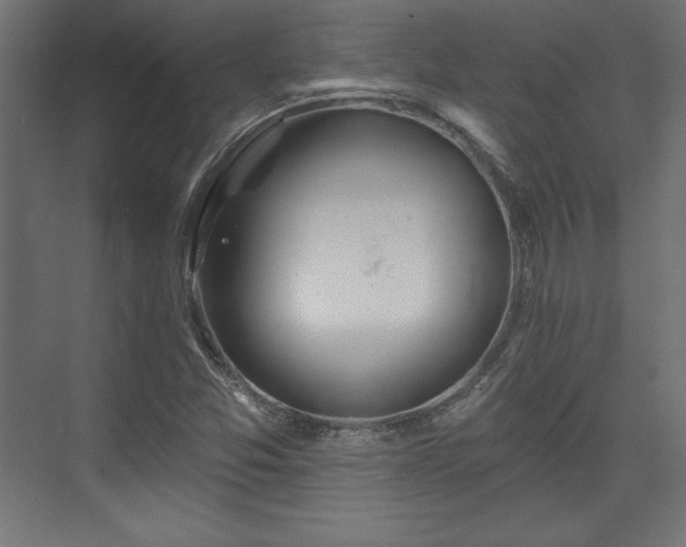 X0000073991357200608281303