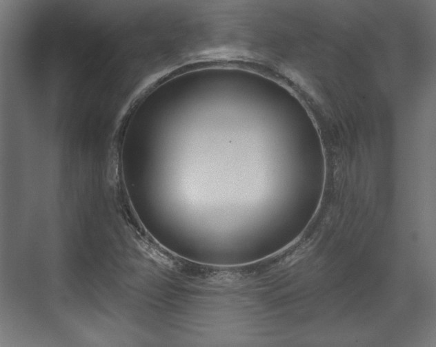 X0000073991358200608281303