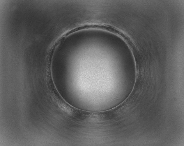 X0000073991359200608281303