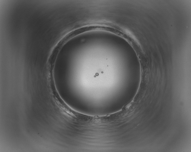 X0000073991360200608281303