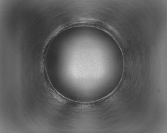 X0000073991362200608281303