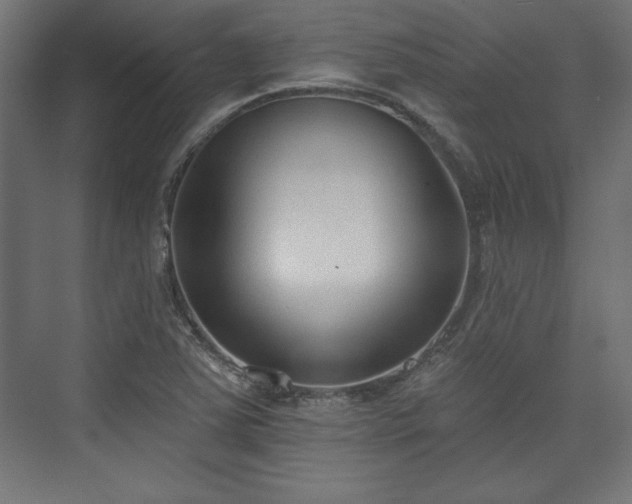 X0000073991363200608281303