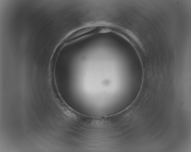 X0000073991364200608281303