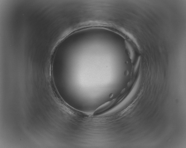 X0000073991365200608281303