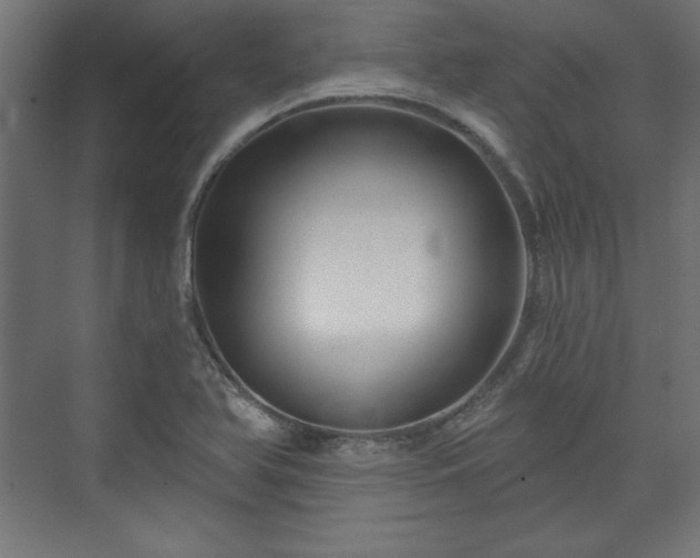 X0000073991366200608281303