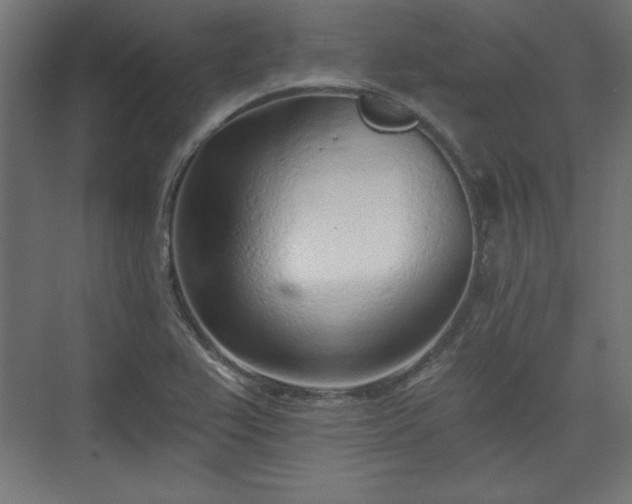 X0000073991367200608281303