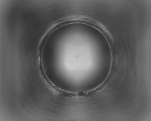 X0000073991368200608281303