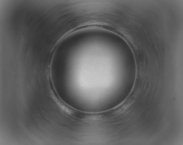 X0000073991369200608281303