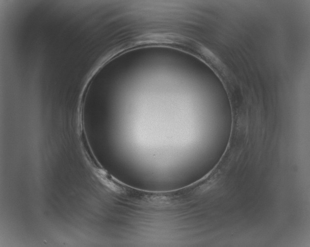 X0000073991370200608281303