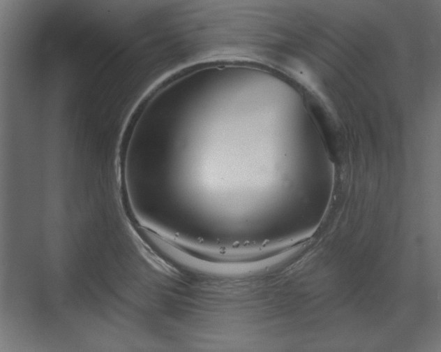 X0000073991372200608281303