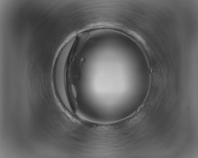 X0000073991373200608281303