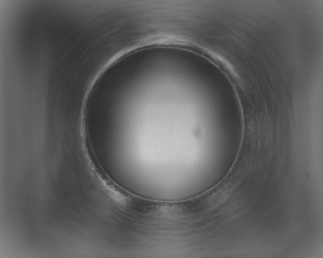 X0000073991375200608281303