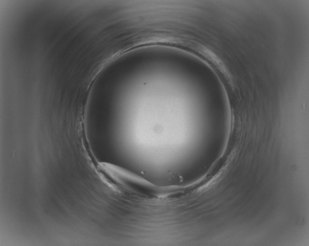 X0000073991377200608281303