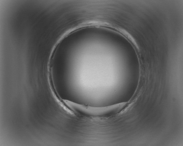 X0000073991381200608281303