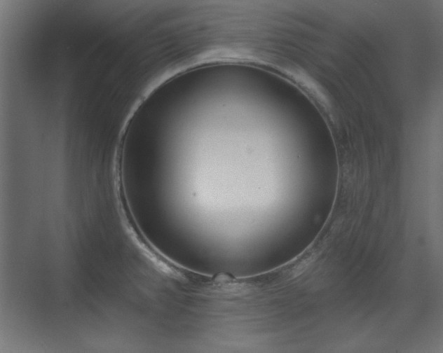 X0000073991382200608281302