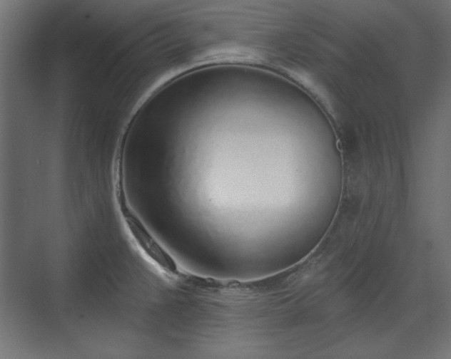 X0000073991383200608281302