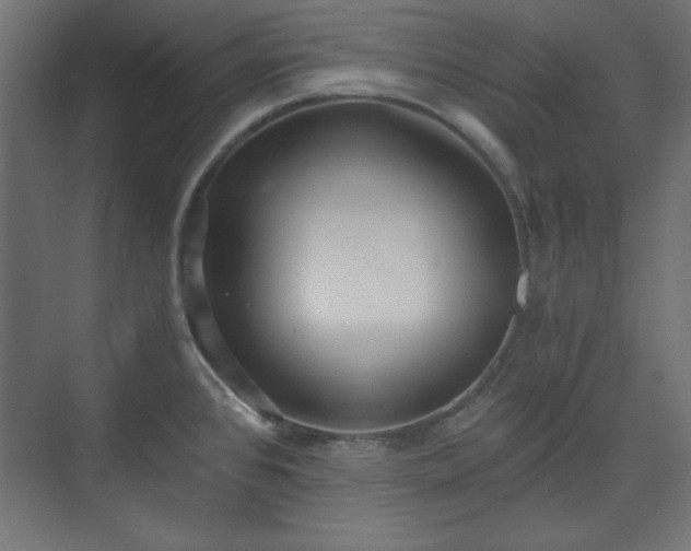 X0000073991384200608281302