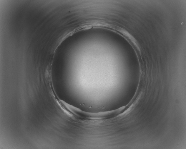 X0000073991385200608281302