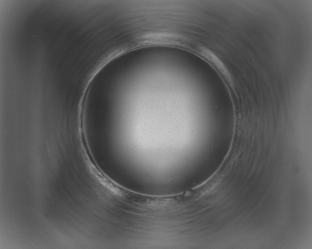 X0000073991386200608281302