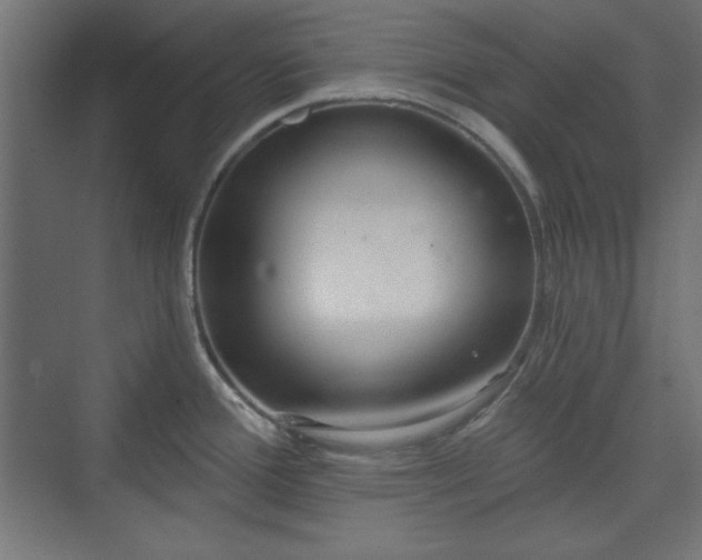 X0000073991388200608281302