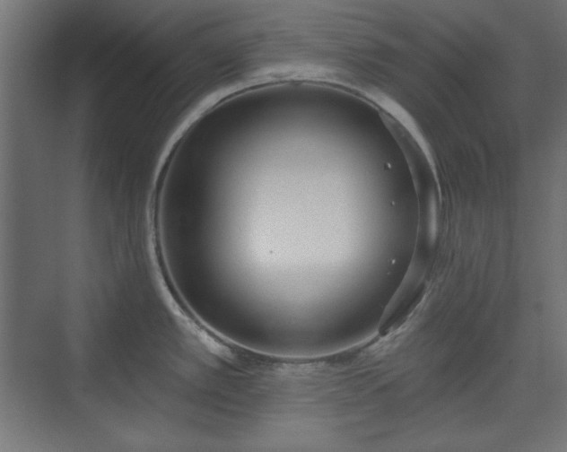 X0000073991389200608281302