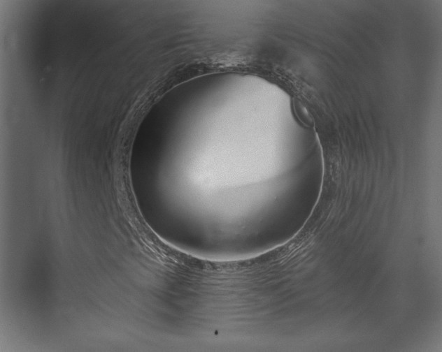 X0000073991393200608281302