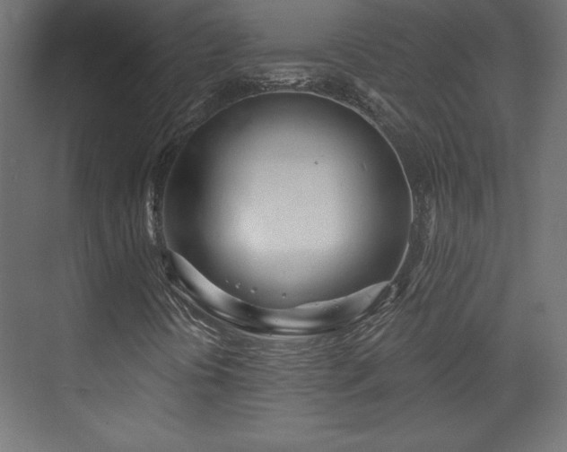 X0000073991394200608281302